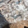 Θεσσαλία θάψιμο ζωντανών αιγοπροβάτων